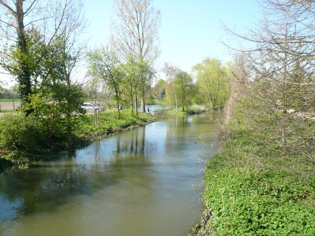 Gite Jasmin Herrlisheim-près-Colmar Buitenkant foto