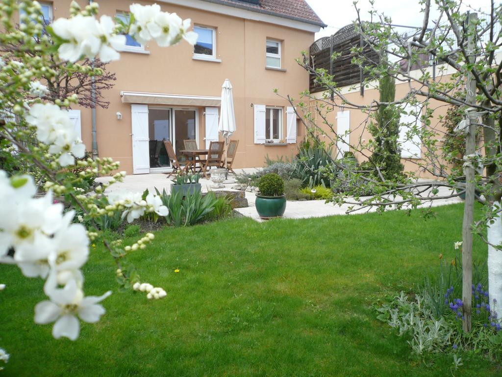 Gite Jasmin Herrlisheim-près-Colmar Buitenkant foto