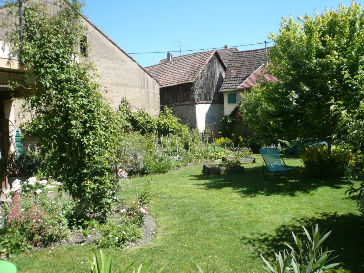 Gite Jasmin Herrlisheim-près-Colmar Buitenkant foto